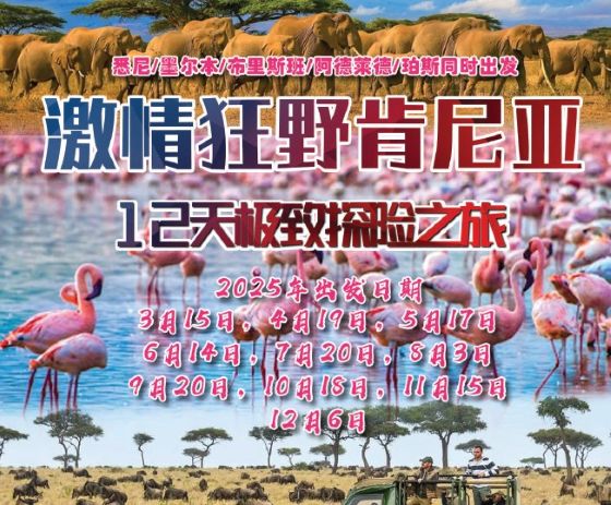 琛岀▼缇庡浘